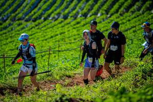 BIB: 703
                            <button type="button" onclick="openModal(19162208)" class="btn btn-primary btn-sm float-right btn-popup" data-toggle="modal" data-target=".modal-high-quality">
                        <i class="fas fa-shopping-cart"></i> Add to Cart
                    </button>
                                            <button type="button" onclick="isThisMe(19162208, true)" class="btn btn-success btn-sm float-right btn-popup btn-isme hidden" data-toggle="tooltip" data-placement="bottom" title="นี่คือรูปของคุณใช่ไหม คลิกที่นี่เพื่อเอาเข้าอัลบั้ม">
                        <i class="fas fa-plus"></i> Add to album
                    </button>
                    <button type="button" onclick="isThisMe(19162208, false)" class="btn btn-warning btn-sm float-right btn-popup btn-isnotme hidden">
                        <i class="fas fa-ban"></i> Remove from album
                    </button>